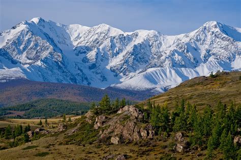 Алтайский заповедник и его особенности цели создания охраняемые виды