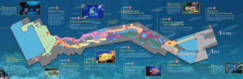 Sea Aquarium At Resorts World Sentosa Love Bella Vida