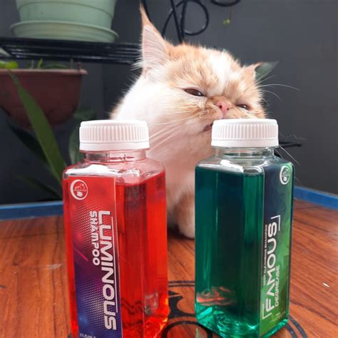 Jual Shampoo Kucing Luminous Dan Degreaser Famous Miezekatze Product