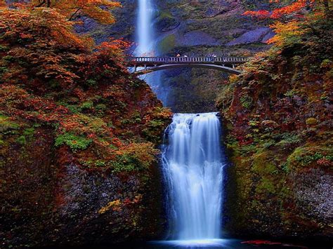 Waterfalls Forest Stream Autumn Big Nature Edge Bonito Hd