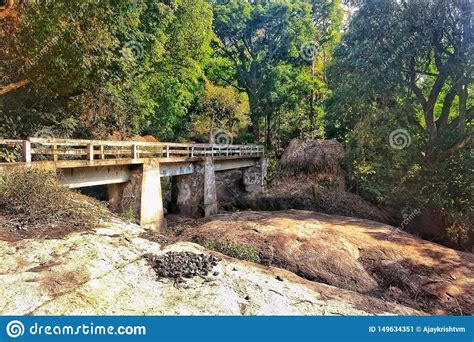 Forest Path Bridge At Marayoor Stock Image Image Of Bridge Path