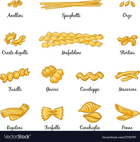 Macaroni Spaghetti And Others Type Of Italian Vector Image