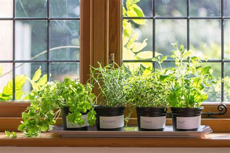 How To Build A Diy Window Plant Shelf