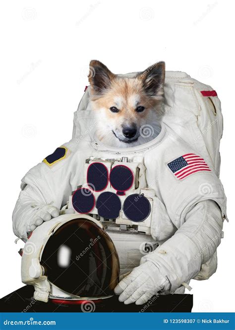 The Cosmonaut Dog Dressed In A Space Suit Stock Image Image Of