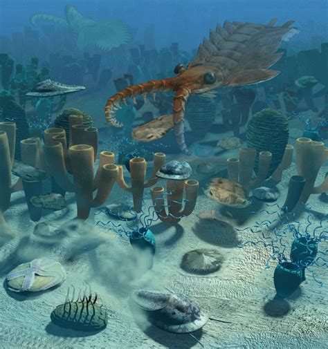 Prehistoric Ocean Anomalocaris