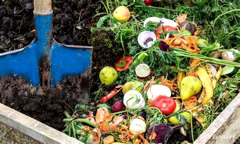 35 Incredible Benefits Of Composting 2024 Guide