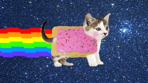 The perfect popcat animated gif for your conversation. Quest Bar Pop Tarts Recipe