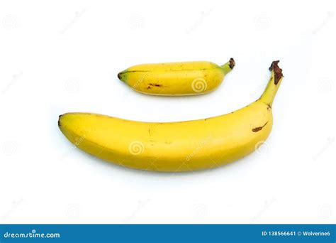 A Comparison Of Two Usual Bananas Stock Image Image Of White Healthy