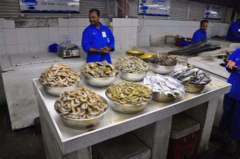 Fish Market In Sharjah Editorial Stock Photo Image Of Fish 37275478