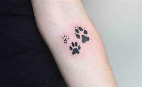 Top Best Cat Paw Print Tattoo Ideas Inspiration Guide