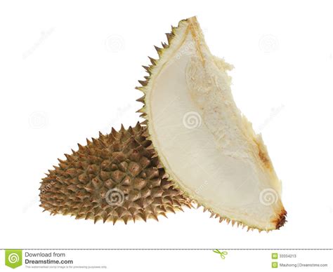 Durian Shell Stock Image Image Of Thorns Spikes Piece 33334213