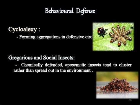 Insect Defense Mechanism