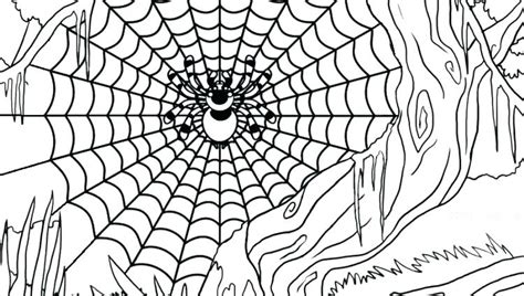 Funnel web spider coloring pages spider coloring pages miss spider 1029 x 1200px 135.32kb. The best free Funnel coloring page images. Download from 4 ...