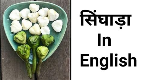 Singada Ko English Mein Kya Kahate Hain - fitriblog1
