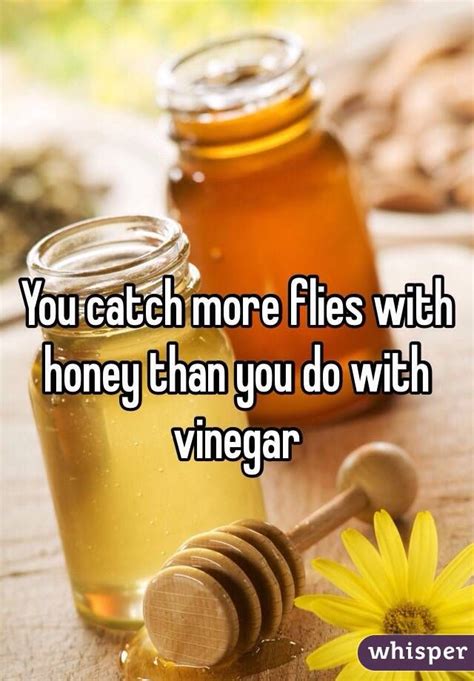 You Can Catch Flies With Honey Honeyse