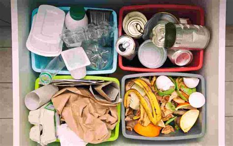 10 Contoh Sampah Organik Dan Anorganik - IMAGESEE