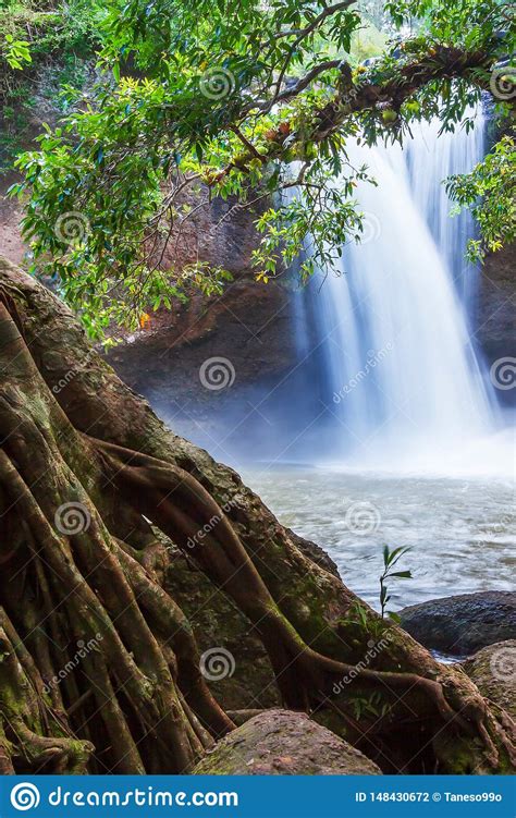 Beautiful Landscape Of Waterfall In Tropical Forest, Bright And Gently Waterfall In The Morning ...