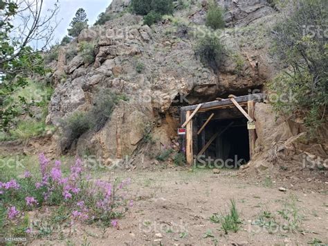 Mineshaft With Flowers 2 Stock Photo Download Image Now Gold Mine