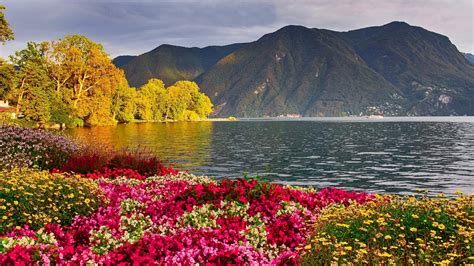 Download Mountain Flower Earth Photography Lake Hd Wallpaper