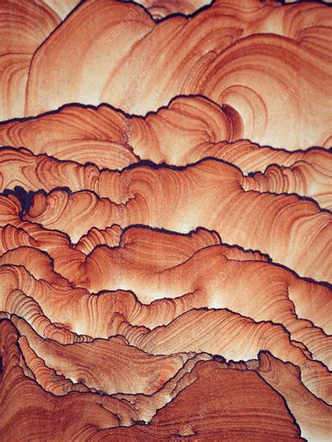 Sedimentary Structures In Sandstone Stock Image C0424238 Science