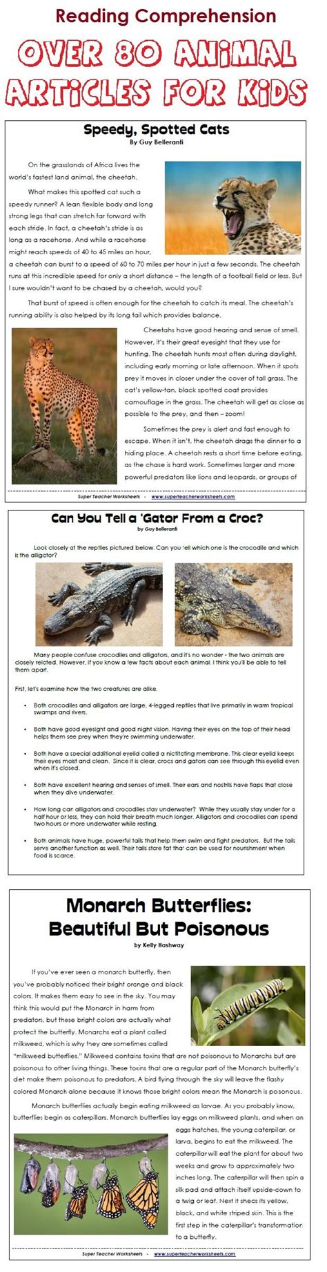 Check spelling or type a new query. 48 best STEM: Animal Adaptations images on Pinterest ...