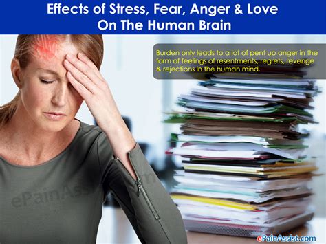 Work stress tops the list, according to surveys. Effects of Stress, Fear, Anger & Love On The Human Brain