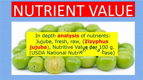 Jujube Fruit Nutrition Facts And Health Benefits Youtube