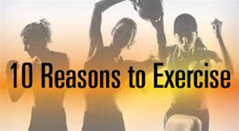 Top 10 Reasons To Exercise Which Inspires You To Hit The Gym