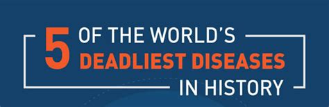 5 Of The Worlds Deadliest Diseases In History Infographic Plaza