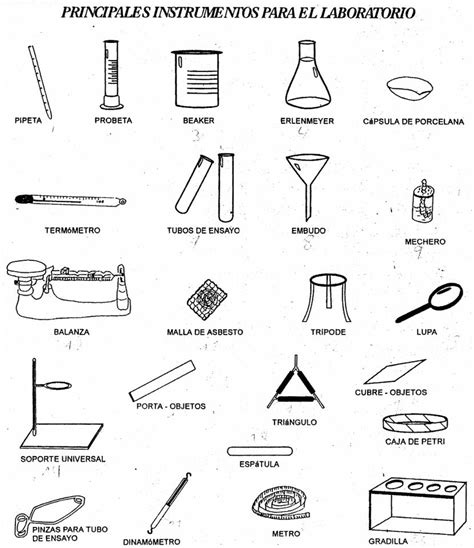 Biolog A Principales Instrumentos De Laboratorio