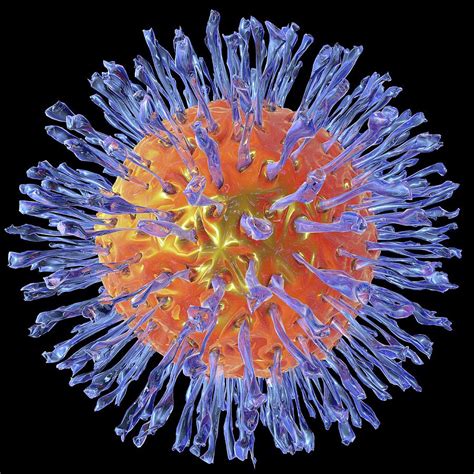 Herpes Virus Photograph By Alfred Pasiekascience Photo Library Pixels