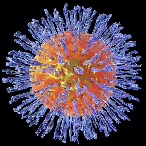It may result in small blisters in groups often called cold sores or fever blisters or may just cause a sore throat. Herpes Virus Photograph by Alfred Pasieka/science Photo ...