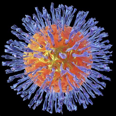 Diagnosis and treatment / aad. Herpes Virus Photograph by Alfred Pasieka/science Photo ...