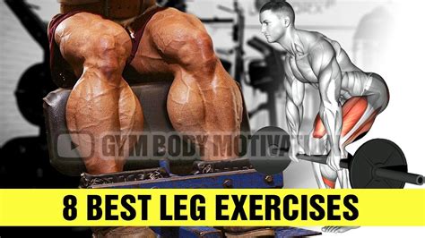 The Perfect Leg Workout 8 Best Leg Exercises Cable Arm Workout