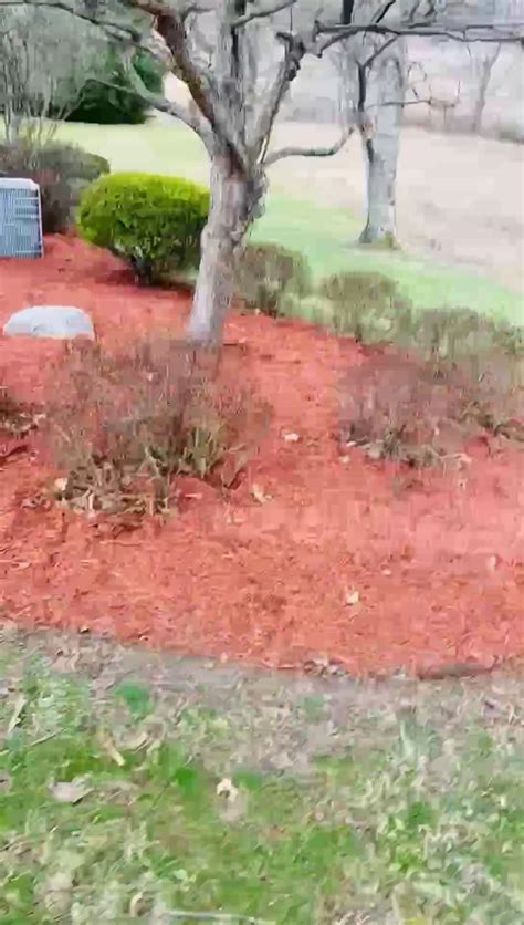 The “red Sea” Of Mulch Absolute Beautiful Flower Beds Put The