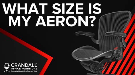 Refurbished Aeron Chair Size C Laine Chappell