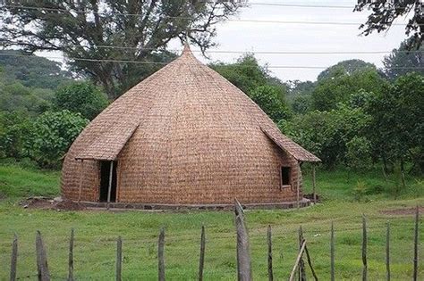sidama home southern ethiopia traditional houses traditional architecture contemporary