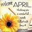 Http//zhonggdjwcom/welcome April Images And Quoteshtml Welcome 