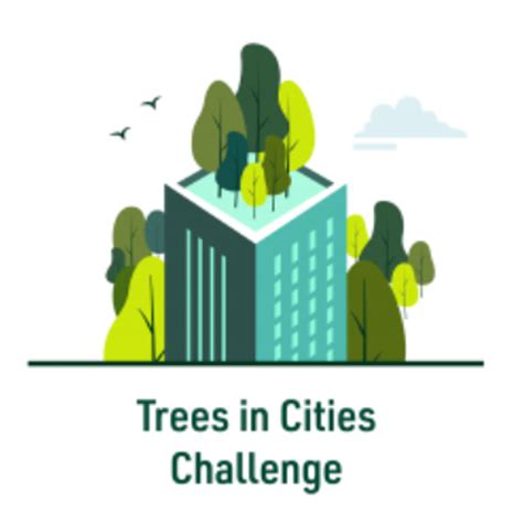 Advancing The Sustainable Management Of Urban Trees And Forests