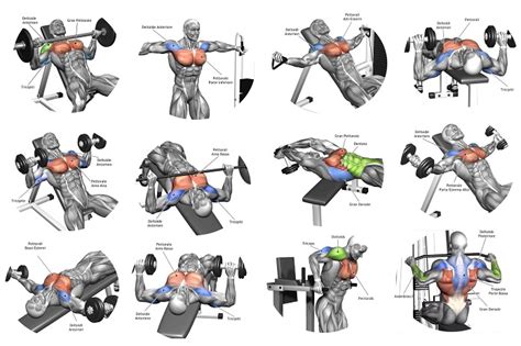 5 Tips For The Best Chest Workout Bodydulding