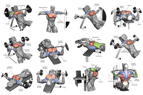 That's not to say, however, that you're going to have complete chest development. 5 Tips For the Best Chest Workout - Bodydulding