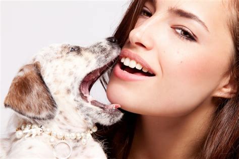 Rüyada Köpek Görmek Ne Anlama Gelir? Neye İşarettir? - Diyadinnet Rüya
