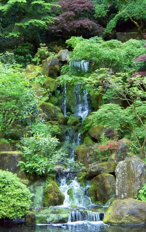 Monday Adventure Portland Japanese Garden