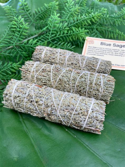 Blue Sage Smudge Stick Sage Bundle For Ceremony Meditation Etsy