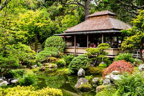 Japanese Tea Garden Angel Ortega Flickr
