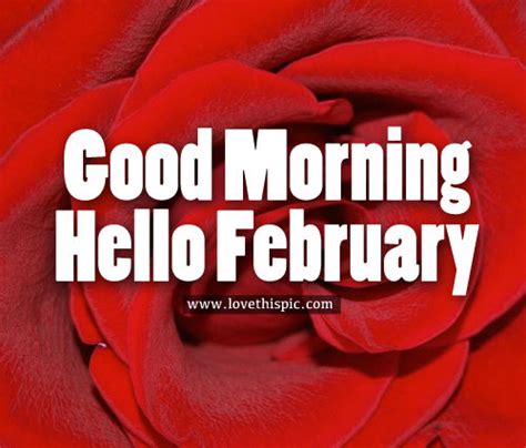 Good Morning Hello February Pictures Photos And Images For Facebook