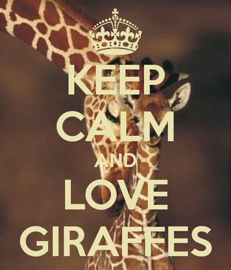 Keep Calm And Love Giraffes Keep Calm And Love Giraffe Keep Calm