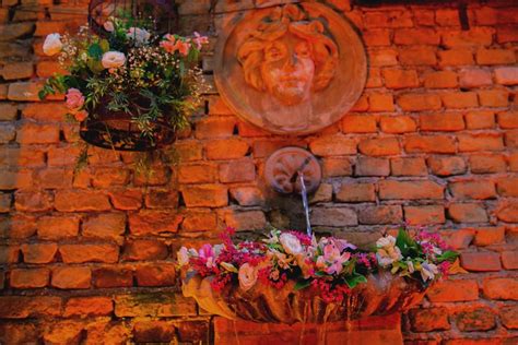 55 Wonderful Wall Gardens Ideas & Wall Garden Designs [2021]