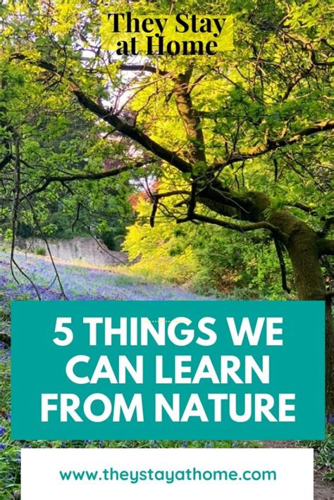 5 Things We Can Learn From Nature She Gets Around