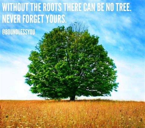 Success Seeks You On Twitter Without The Roots There Can Be No Roots